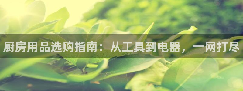 鸿运国际hv32|厨房用品选购指南：从工具到电器，一网打尽